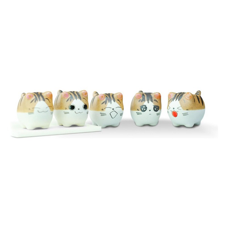 Juego Macetas X5 Unid Cerámica Gaticos Cactus Y Suculentas 1