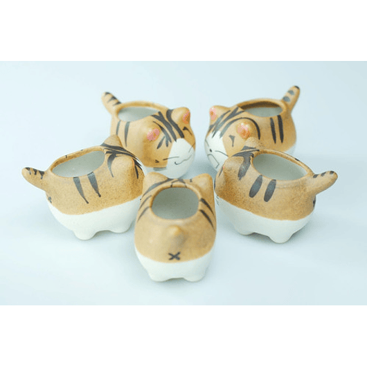 Juego Macetas X5 Unid Cerámica Gaticos Cactus Y Suculentas 3