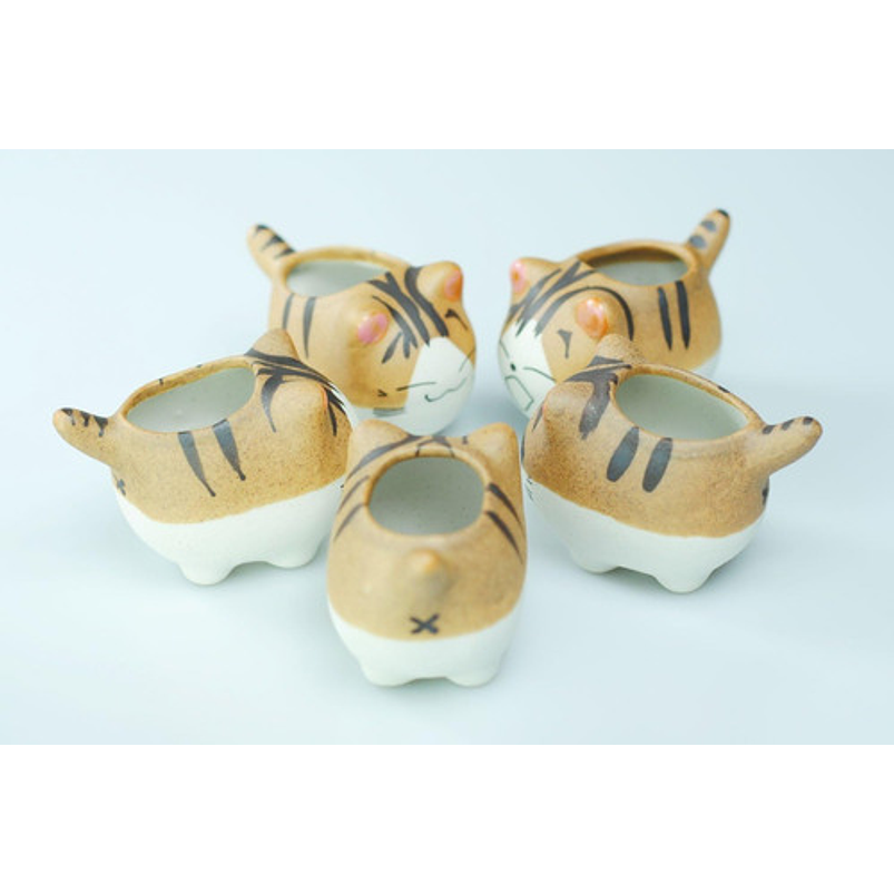 Juego Macetas X5 Unid Cerámica Gaticos Cactus Y Suculentas 3