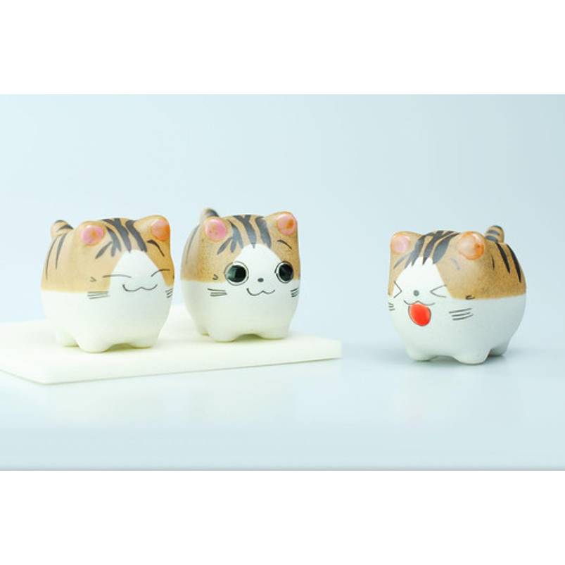 Juego Macetas X5 Unid Cerámica Gaticos Cactus Y Suculentas 5