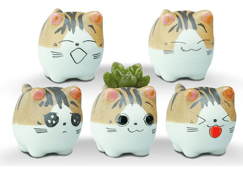 Juego Macetas X5 Unid Cerámica Gaticos Cactus Y Suculentas