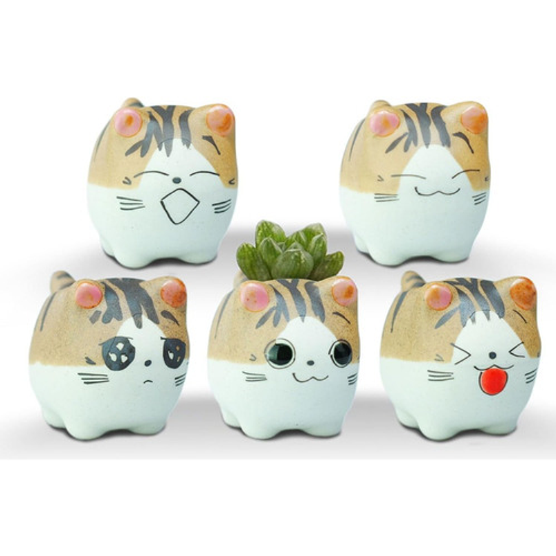 Juego Macetas X5 Unid Cerámica Gaticos Cactus Y Suculentas 2