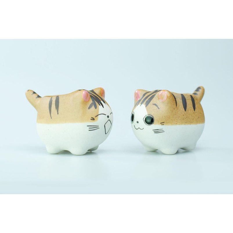 Juego Macetas X5 Unid Cerámica Gaticos Cactus Y Suculentas 6