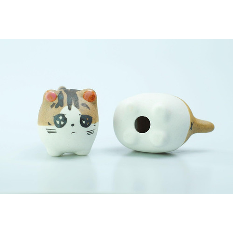 Juego Macetas X5 Unid Cerámica Gaticos Cactus Y Suculentas 8