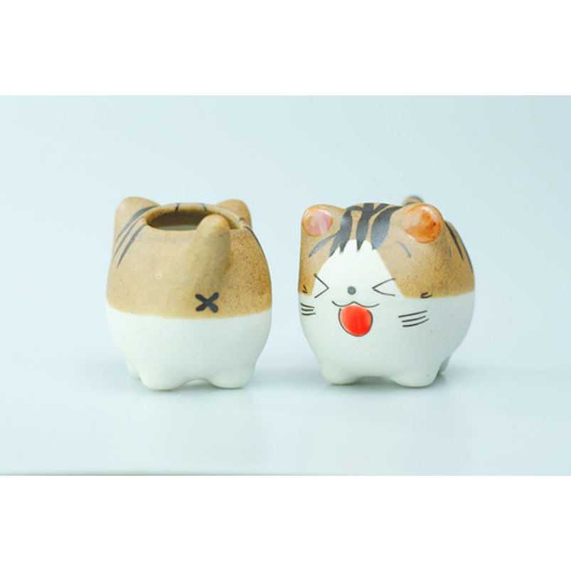 Juego Macetas X5 Unid Cerámica Gaticos Cactus Y Suculentas 9