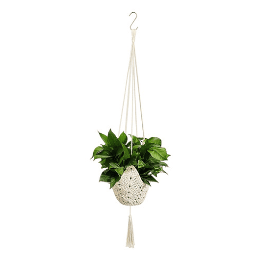 Macramé Colgante Soporte Decorativo De Plantas X01 Pieza 4