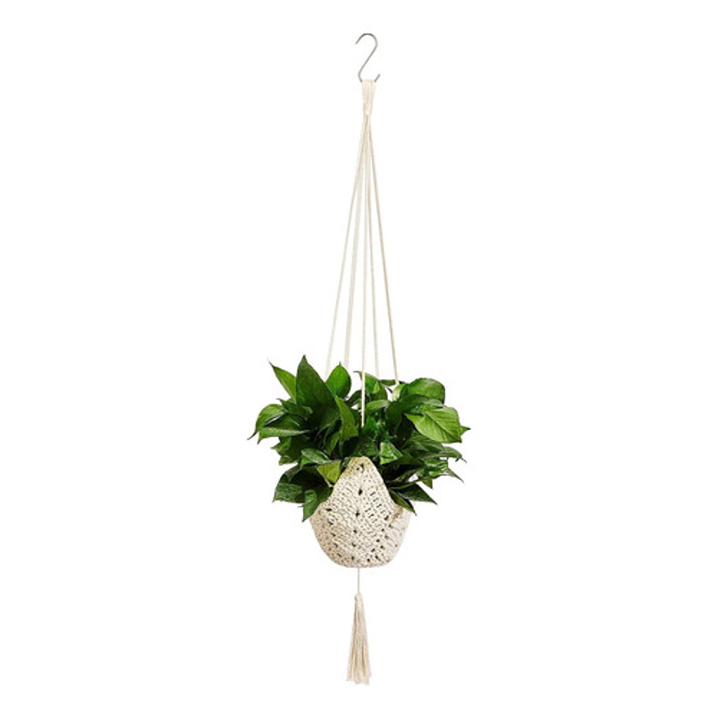 Macramé Colgante Soporte Decorativo De Plantas X01 Pieza 4