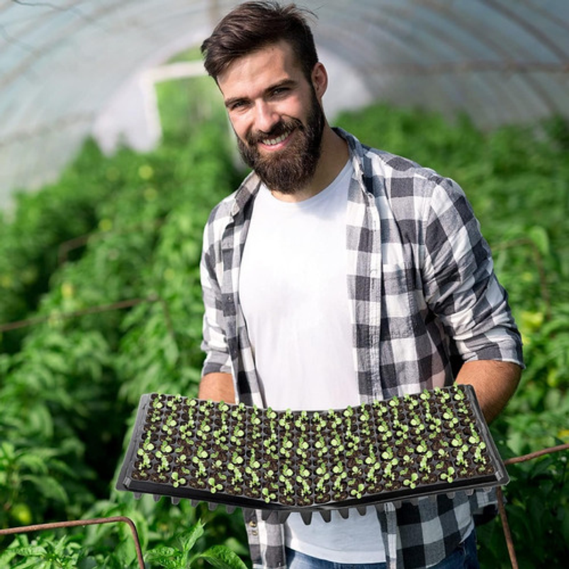 Bandeja 200 Cavidades Germinación Plantulas Plástica X2 Pz 3