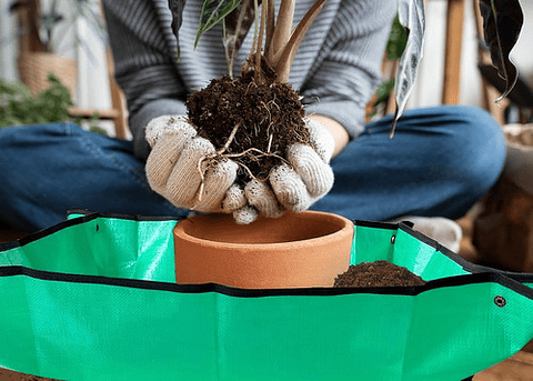 Alfombra Tapete Jardinería Trasplante De Plantas 66cm X 66cm