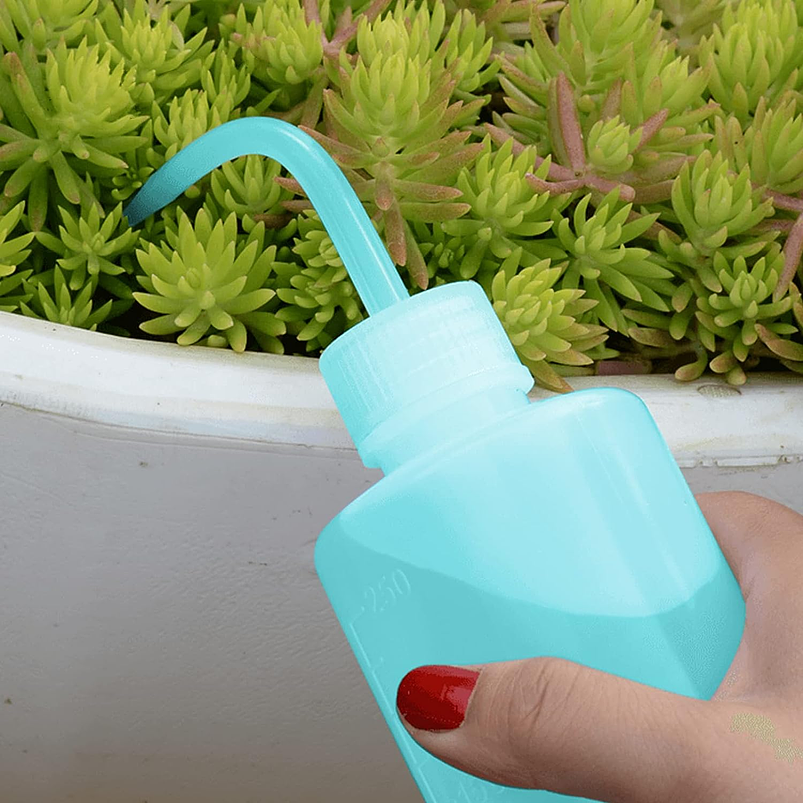 Botella de Riego De Apretar Ideal Cactus Suculentas x250ml Blanco 8