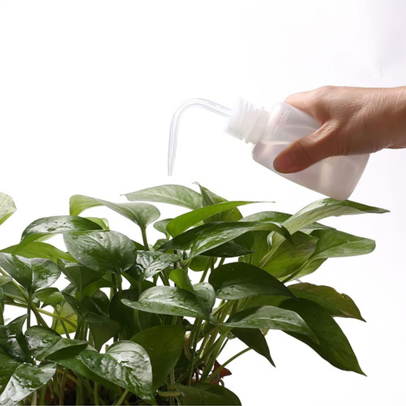 Botella De Riego De Apretar Ideal Cactus Suculentas x150 ml 3