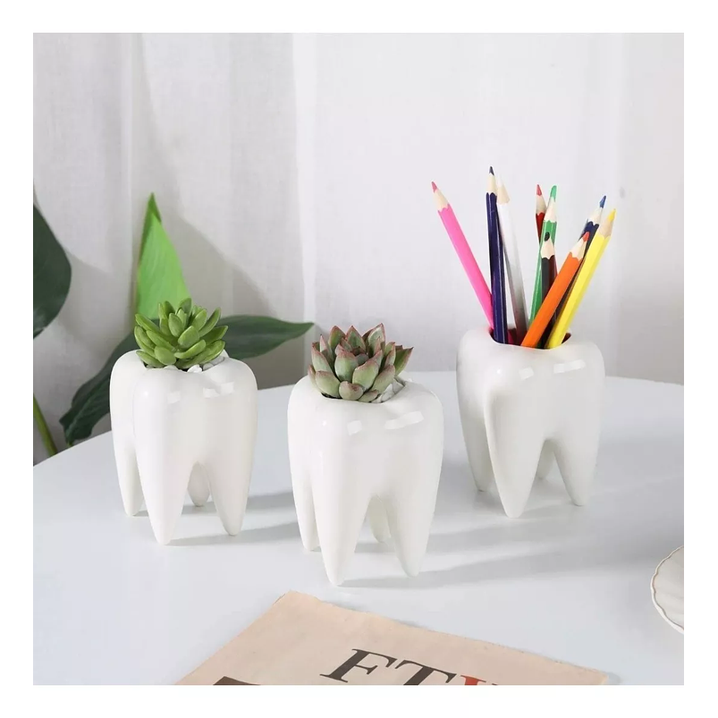 Maceta Cerámica Premium Diente Suculenta 10 centímetros Alto x7cm 6