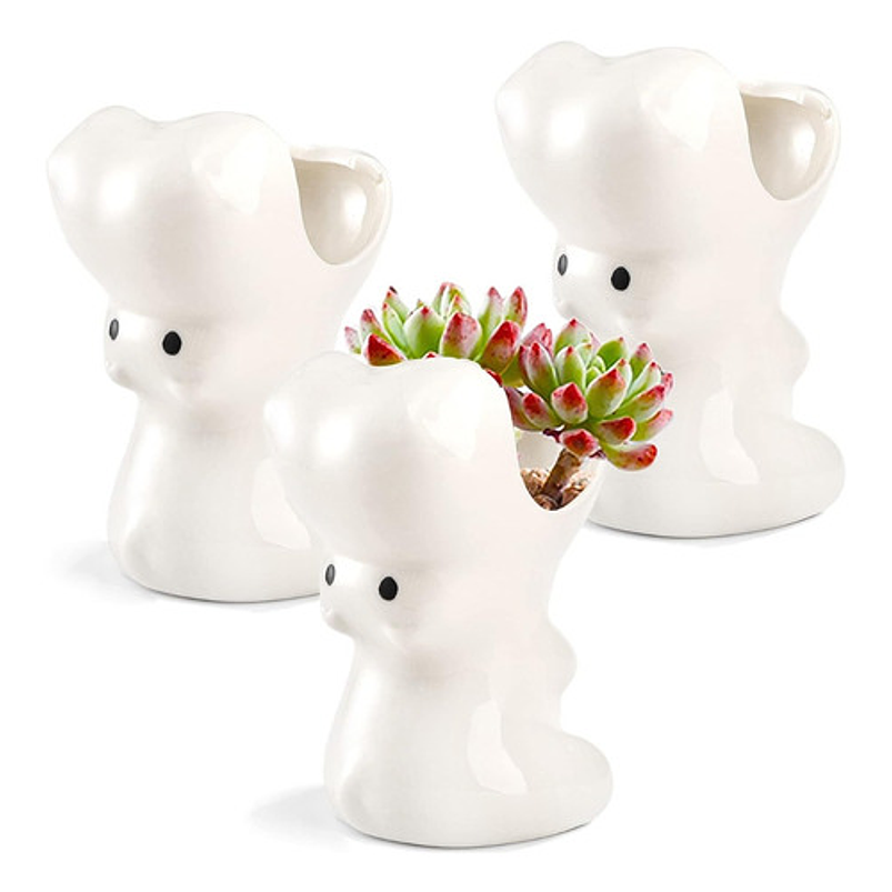 Juego Macetas En Cerámica Premium X3pz Suculentas Y Cactus 1