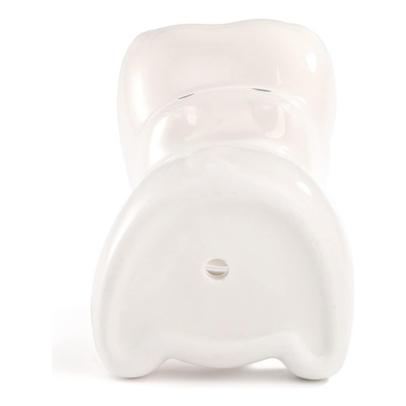 Juego Macetas En Cerámica Premium X3pz Suculentas Y Cactus 5