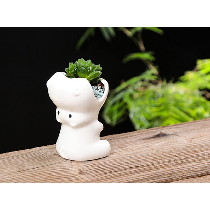 Juego Macetas En Cerámica Premium X3pz Suculentas Y Cactus 8