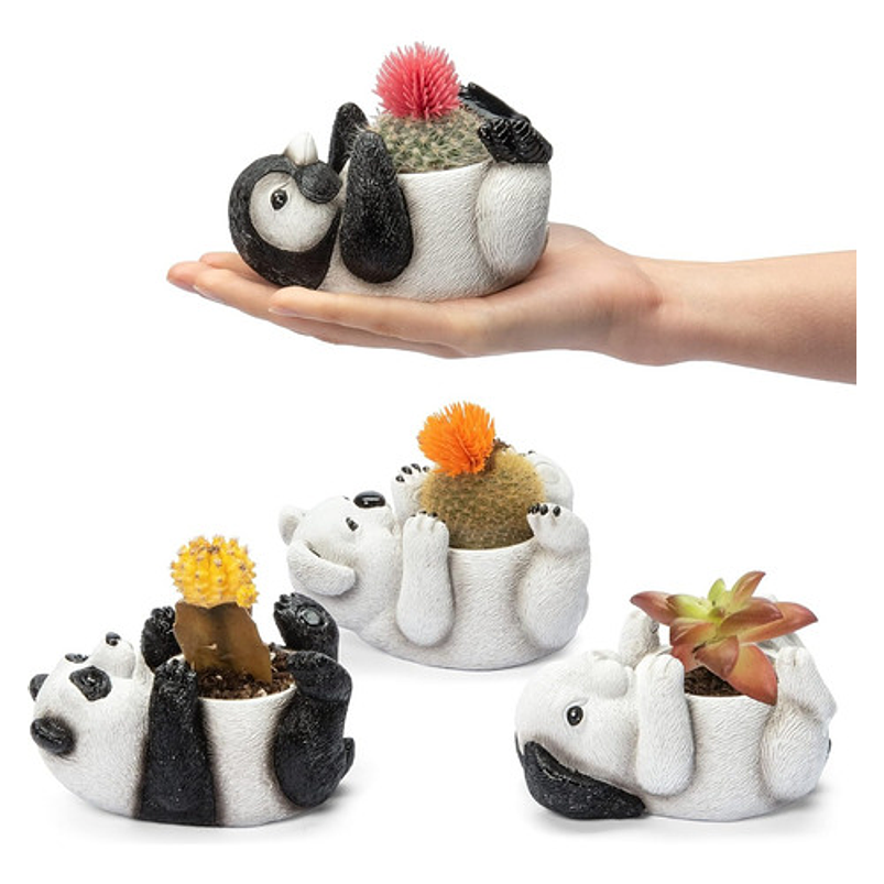 Juego Macetas X4pz Cerámica Diseño Animales Cactus Suculenta 3