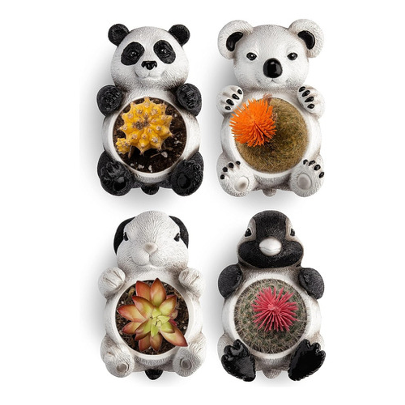 Juego Macetas X4pz Cerámica Diseño Animales Cactus Suculenta 5