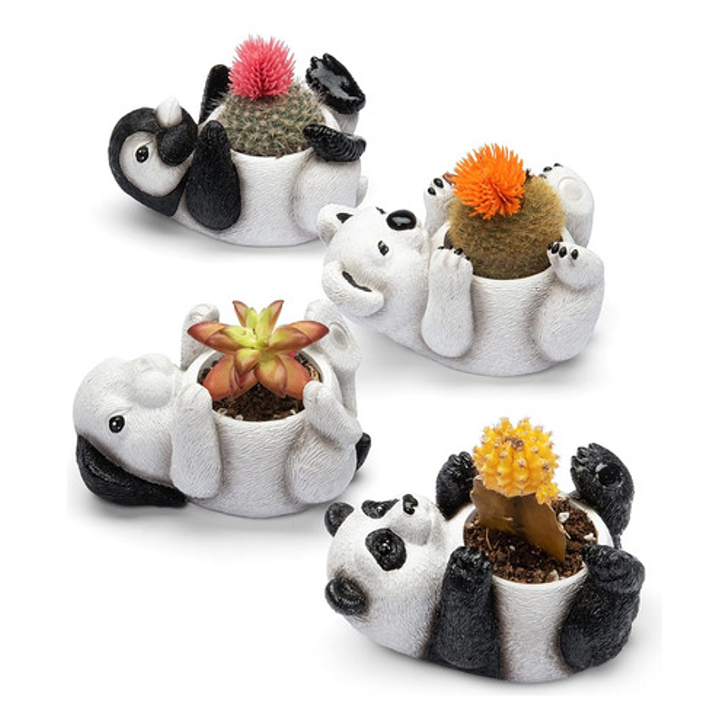 Juego Macetas X4pz Cerámica Diseño Animales Cactus Suculenta 6