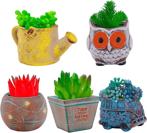 Juego Macetas De Plantas X5 Pz Cerámica Cactus Y Suculentas