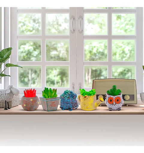 Juego Macetas De Plantas X5 Pz Cerámica Cactus Y Suculentas