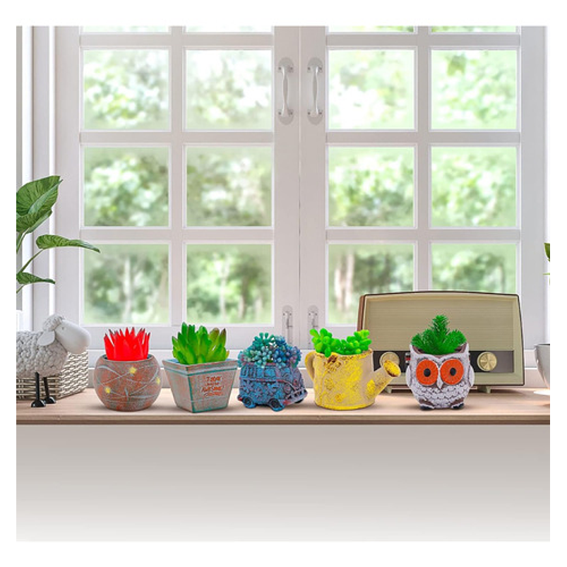 Juego Macetas De Plantas X5 Pz Cerámica Cactus Y Suculentas 3