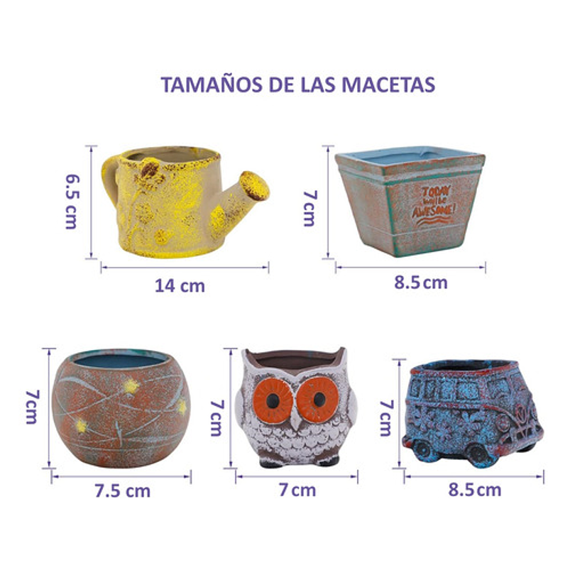 Juego Macetas De Plantas X5 Pz Cerámica Cactus Y Suculentas 2