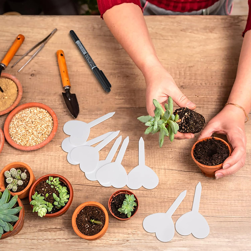 Etiquetas Plantas Siembra Corazón x50 Unidades 15