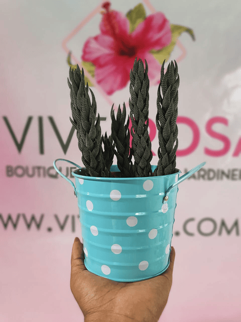 Maceta metálica diseño bolas - $12.000