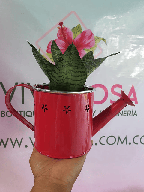 Maceta metalica diseño regadera - $17.000