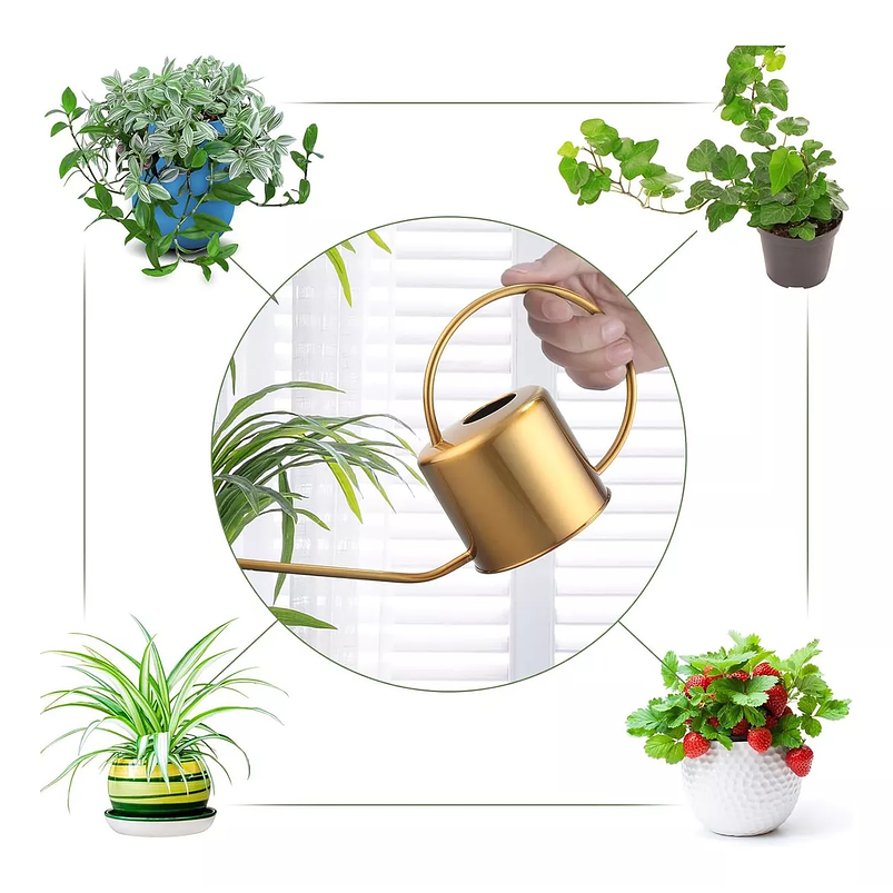 Regadera Chic De Plantas Jardinería X 1,3 Litros En Acero 6