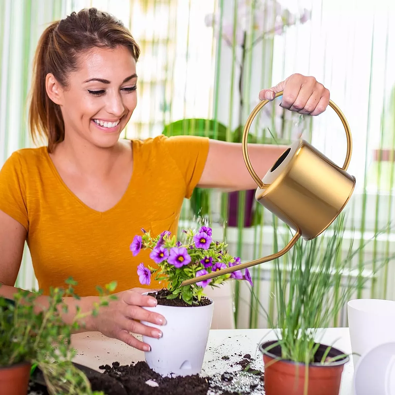 Regadera Chic De Plantas Jardinería X 1,3 Litros En Acero 4