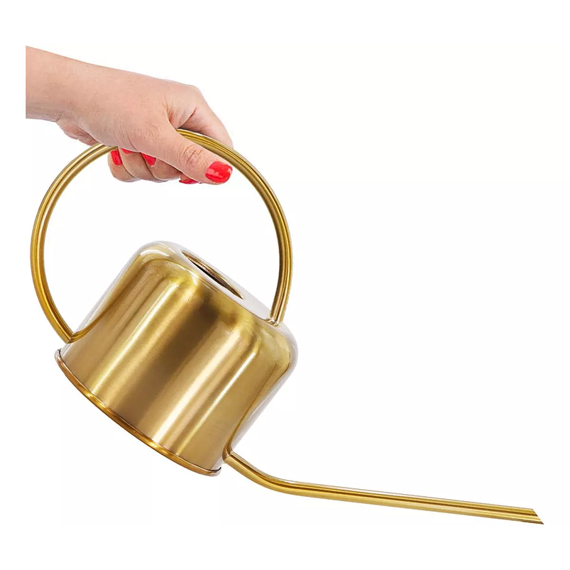 Regadera Chic De Plantas Jardinería X 1,3 Litros En Acero 1