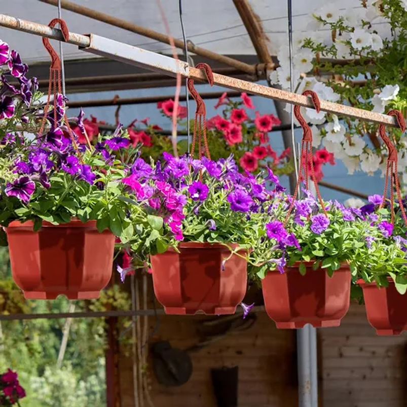 Maceta Plantas Plástica Colgante x10 Unidades Suculentas Cactus 12