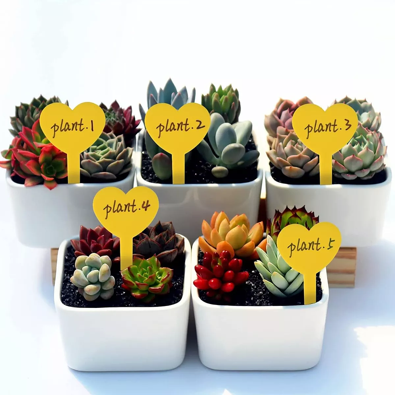 Etiquetas Plantas Siembra Corazón x100 Unidades 24