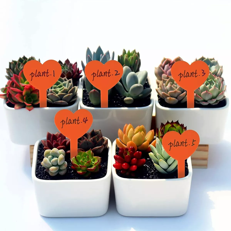 Etiquetas Plantas Siembra Corazón x25 Unidades 20