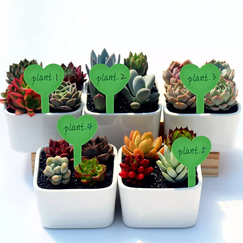 Etiquetas Plantas Siembra Corazón x50 Unidades 18