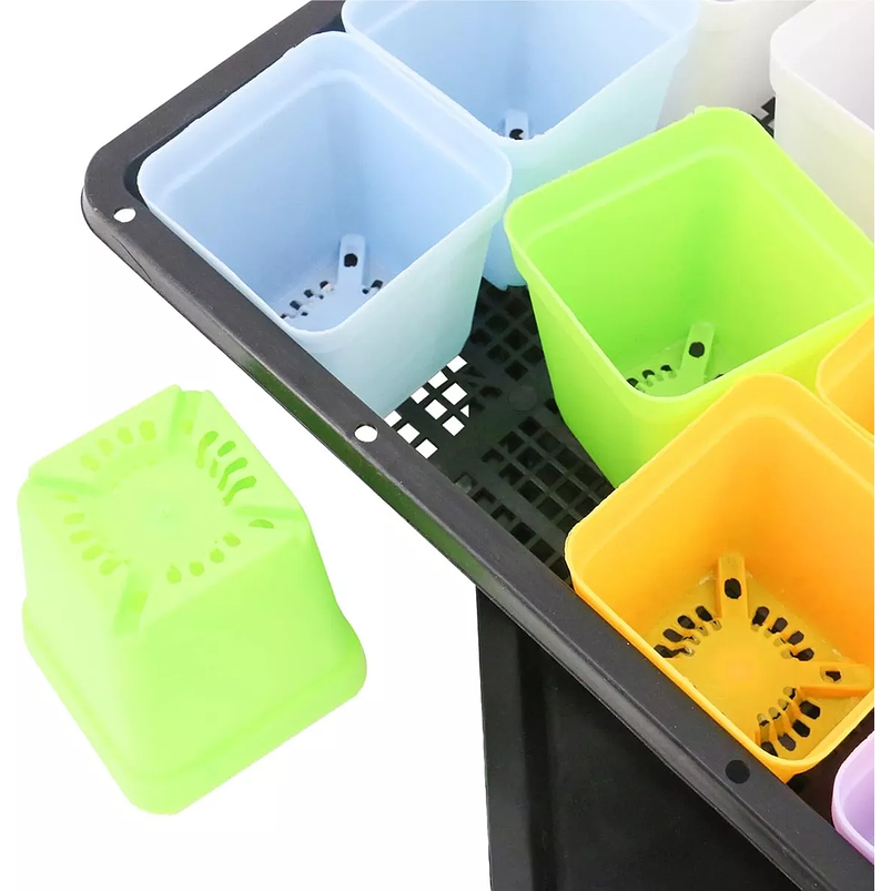 Kit Germinación Plantas X6 Bandejas mas cúpula y herramientas 7