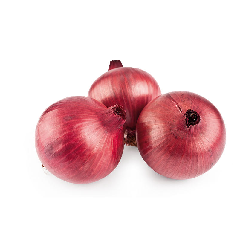 Semillas Hortaliza Siembra Cebolla Roja x25gramos 99% Pureza 1