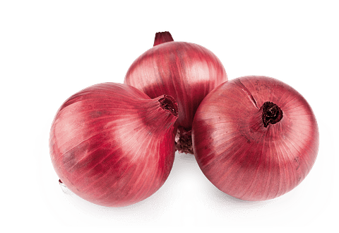 Semillas Hortaliza Siembra Cebolla Roja Sobre 99% Pureza