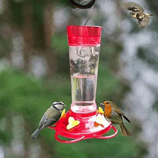 Bebedero De Colibries Cilindrico Colgar 10oz Vidrio 5 Flores 4