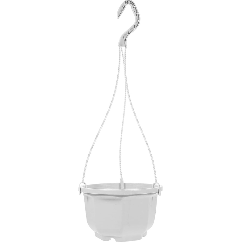 Maceta Plantas Plástica Colgante x10 Unidades Suculentas Cactus 2