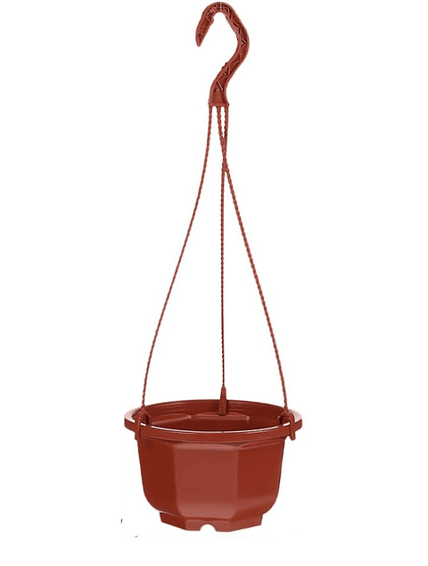 Maceta Plantas Plástica Colgante x10 Unidades Suculentas Cactus