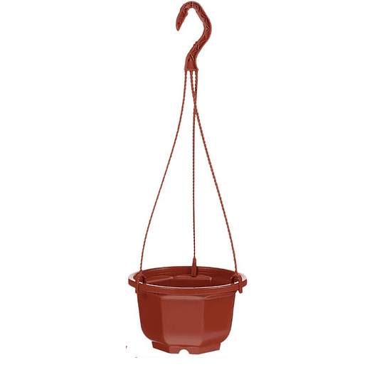 Maceta Plantas Plástica Colgante x10 Unidades Suculentas Cactus 1