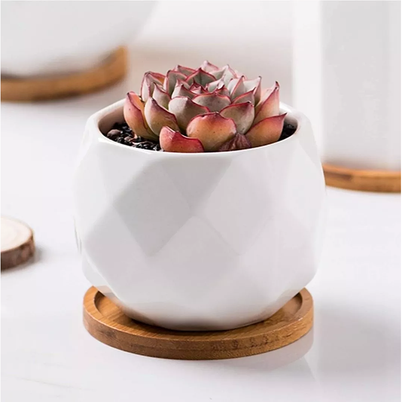 Maceta Cerámica 6cm Diam x 6cm Alto más plato En Bambu Premium Rombos Blanco 1