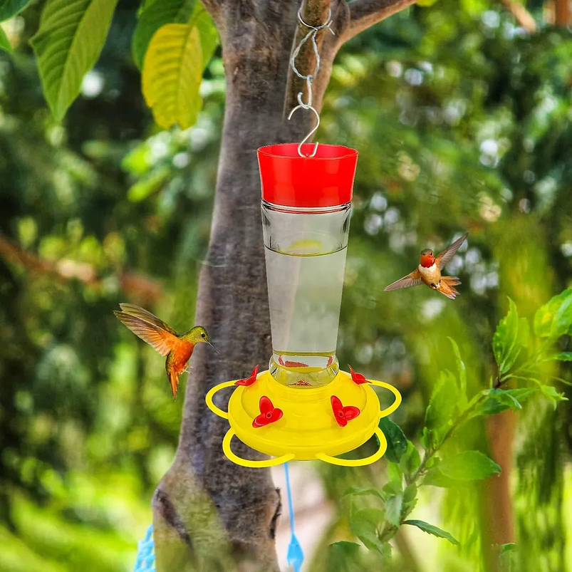 Bebedero Aves Colibríes Cilíndrico Colgar Vidrio x5 Flores 7