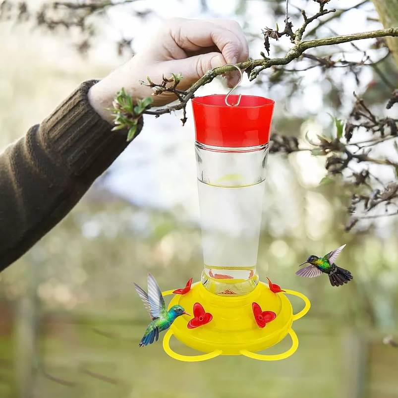Bebedero Aves Colibríes Cilíndrico Colgar Vidrio x5 Flores 5
