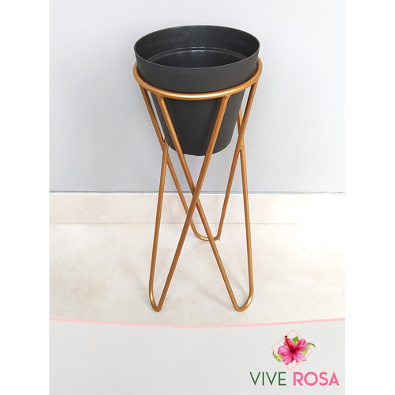 Portamateras Plantas Dorado Mate Base Triangular Pequeño 1