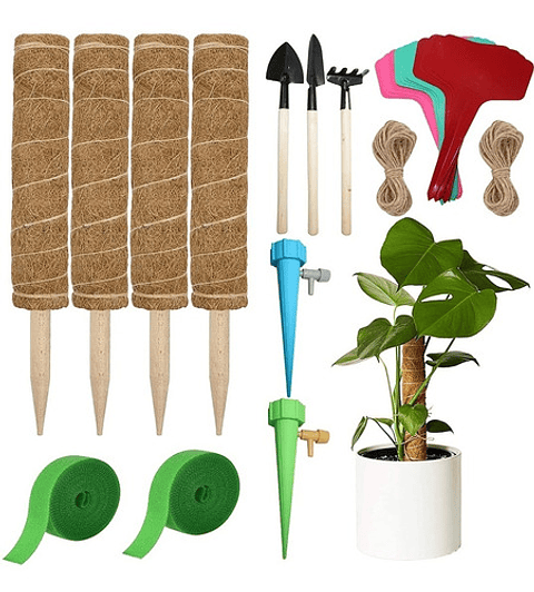 Soporte En Musgo Coco Plantas Trepadoras x4 unidades más 10 herramientas