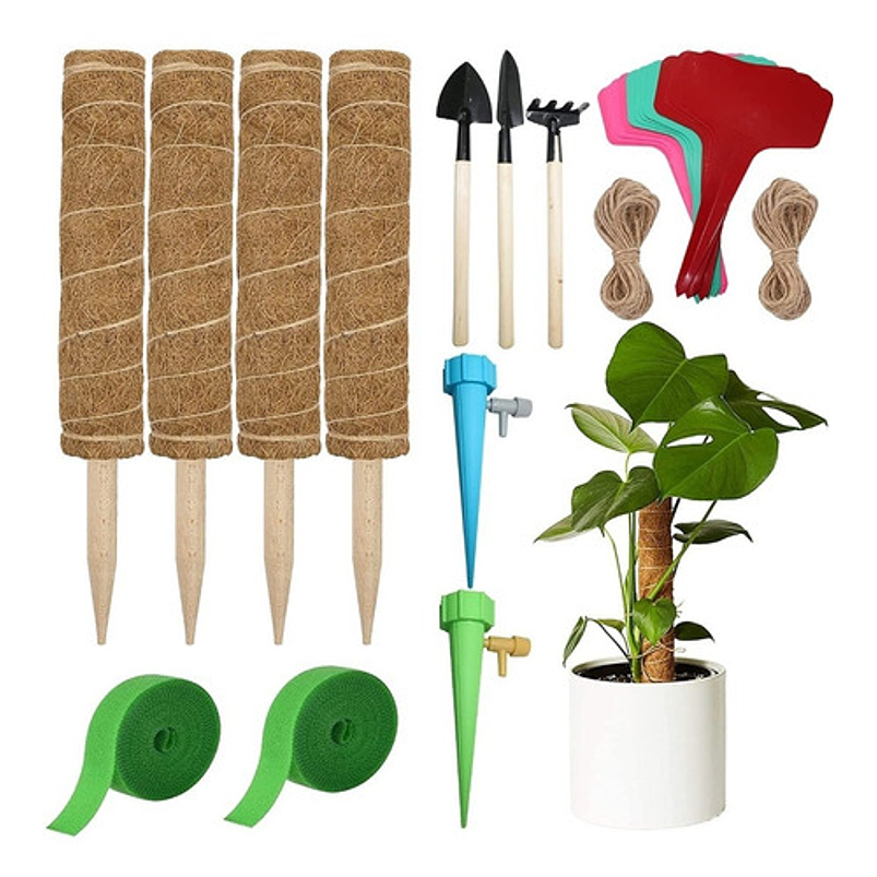 Soporte En Musgo Coco Plantas Trepadoras x4 unidades más 10 herramientas 1