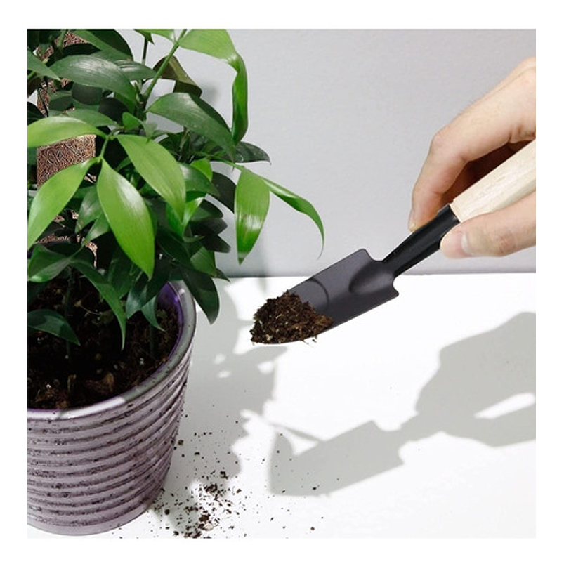 Soporte En Musgo Coco Plantas Trepadoras x4 unidades más 10 herramientas 3